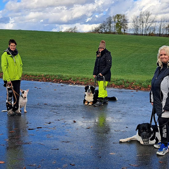 Freya von Leinelos Hundetraining mit Hunden und deren Besitzern beim Social Walk