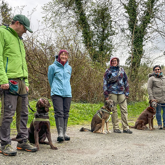 Eine Gruppe von Menschen mit ihren Hunden