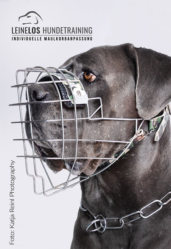 Hund mit Maulkorb